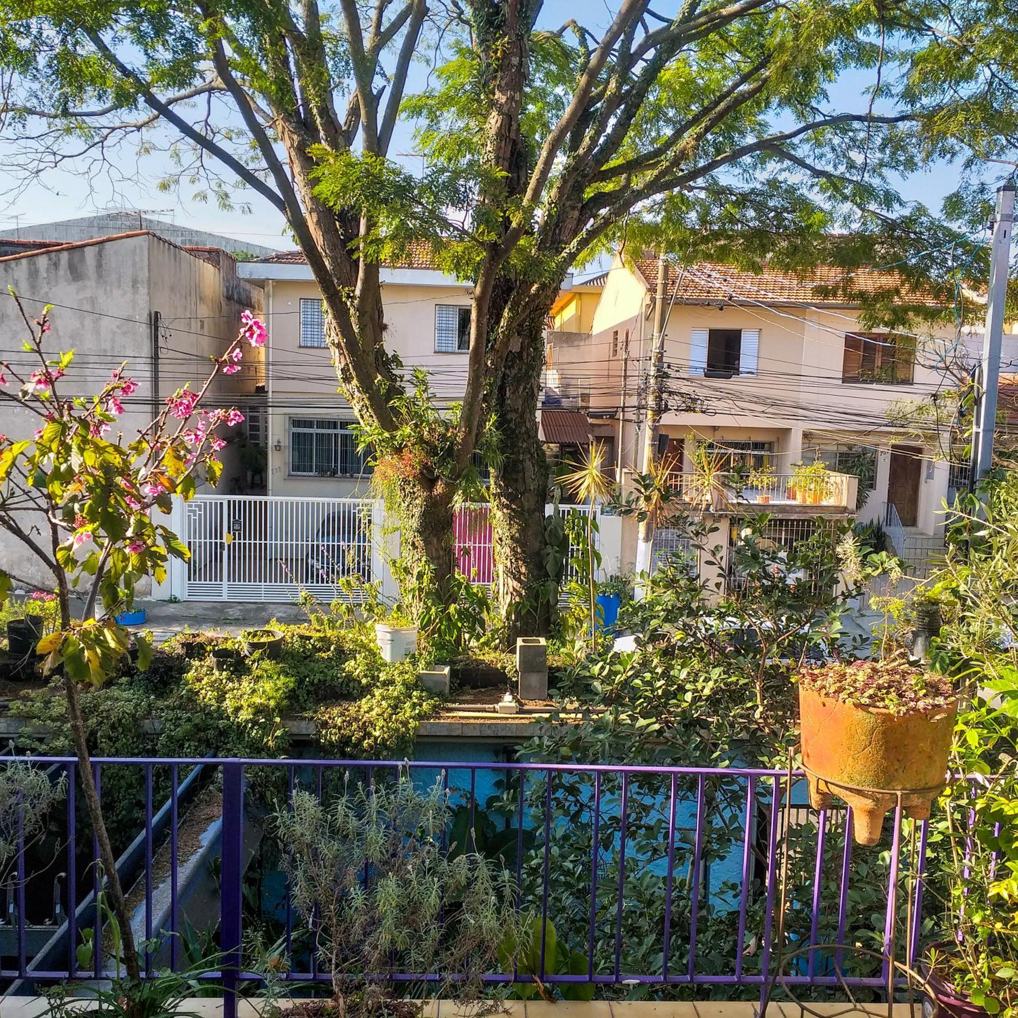 Micasa Hostel - Congonhas São Paulo Exteriér fotografie