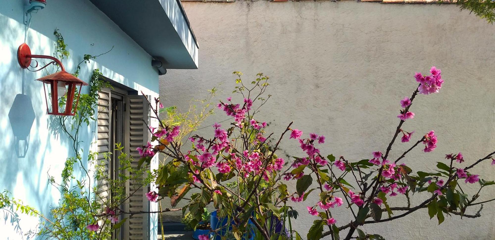 Micasa Hostel - Congonhas São Paulo Exteriér fotografie