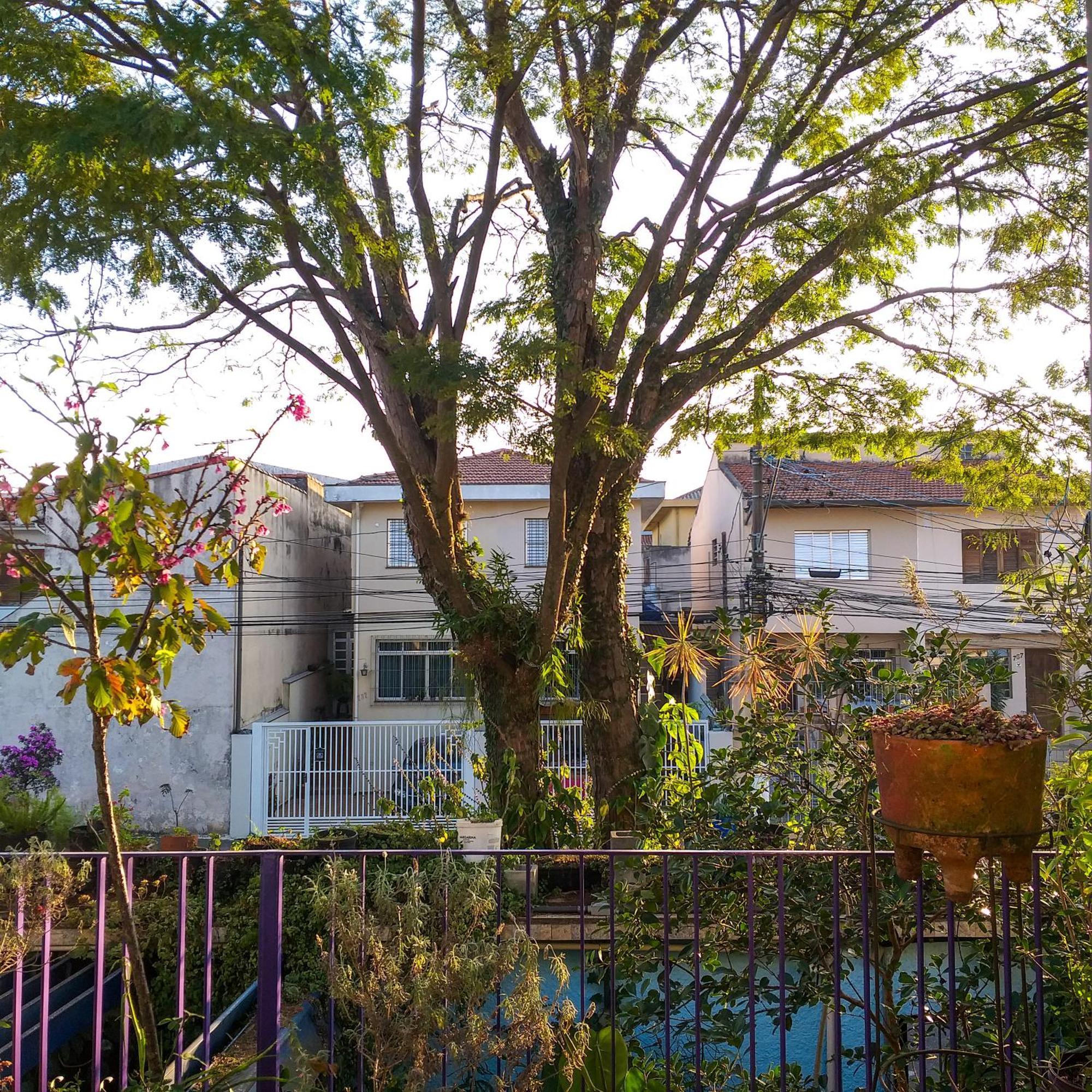 Micasa Hostel - Congonhas São Paulo Exteriér fotografie