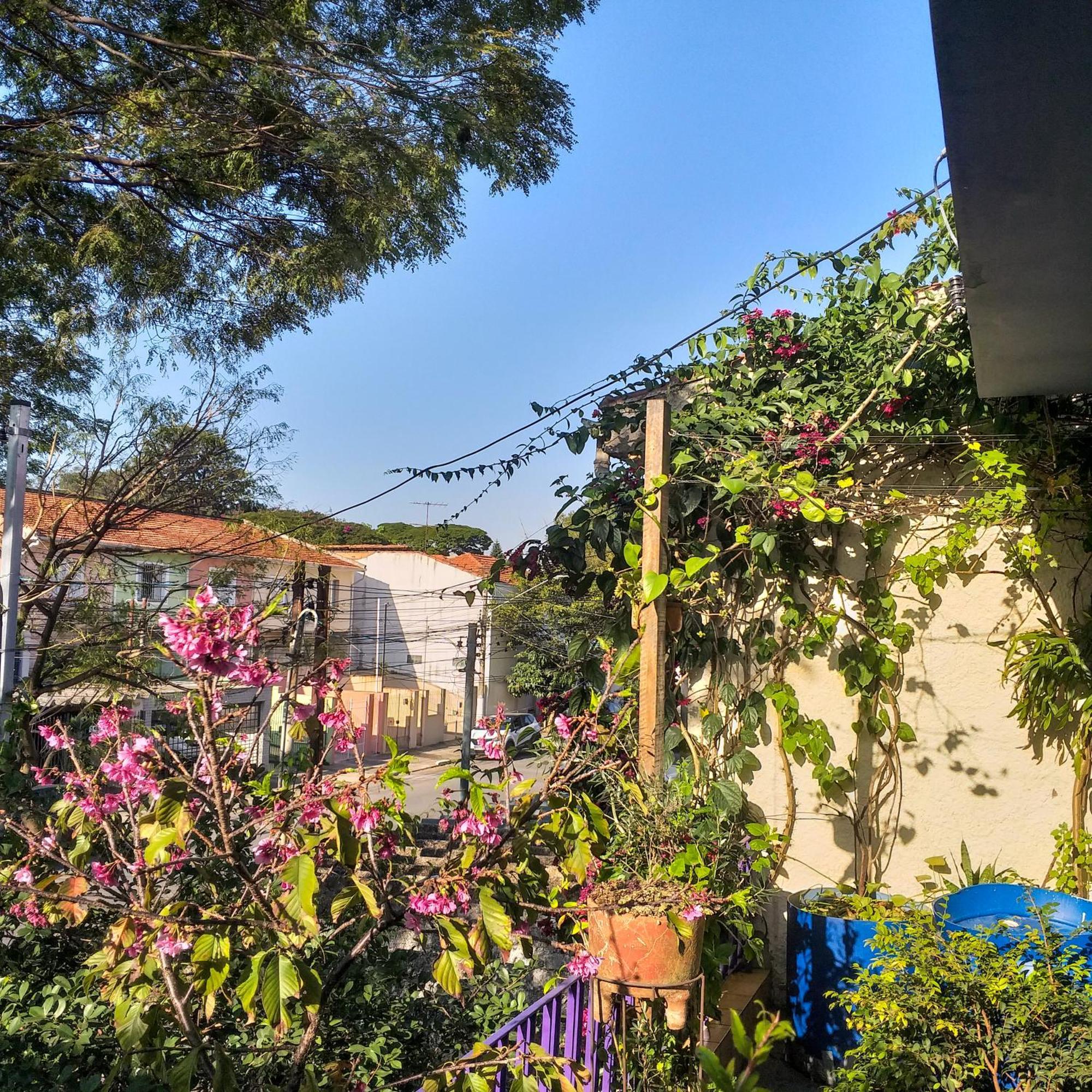 Micasa Hostel - Congonhas São Paulo Exteriér fotografie